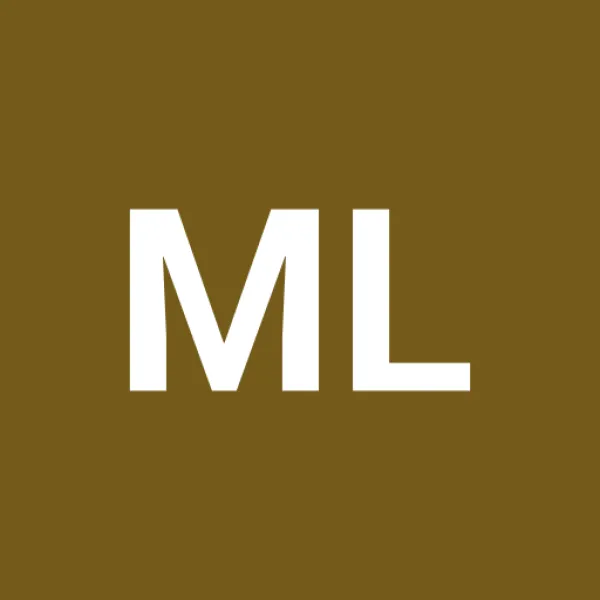 Mayhoş Lojistik