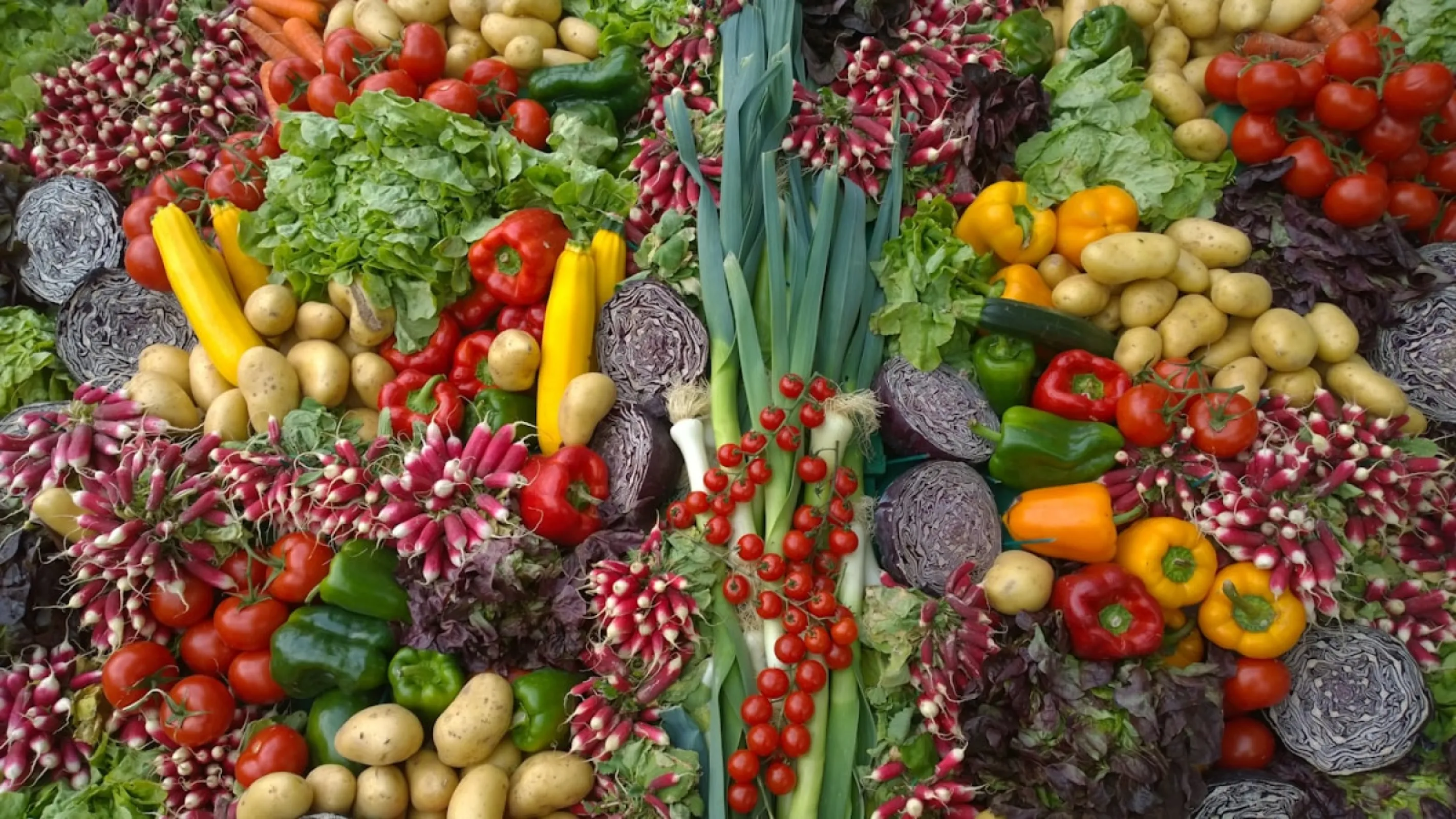 Domates Konserve — Doğranmış 2.5kg #6
